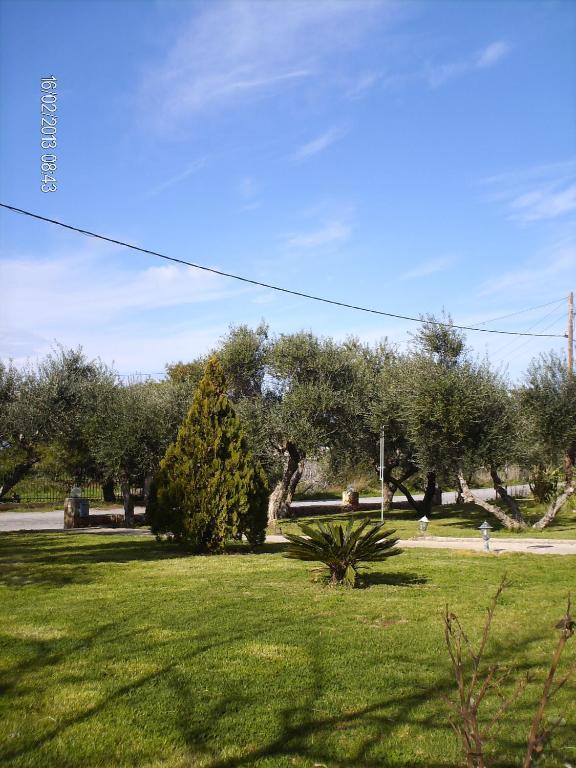 Tompras Village Paralia Demonias Exteriér fotografie
